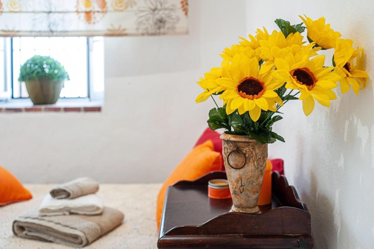 Apartamento Los Girasoles 贝赫尔-德拉弗龙特拉 外观 照片