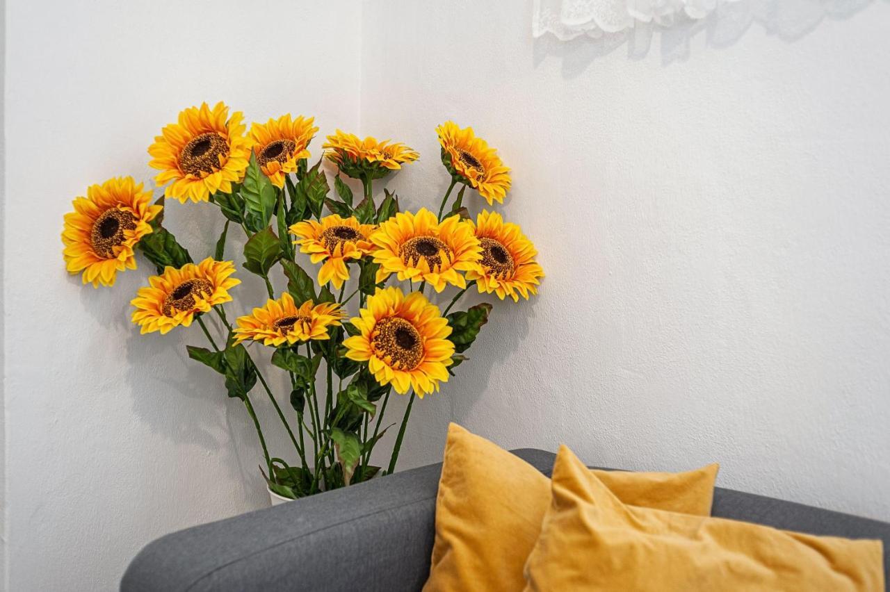 Apartamento Los Girasoles 贝赫尔-德拉弗龙特拉 外观 照片